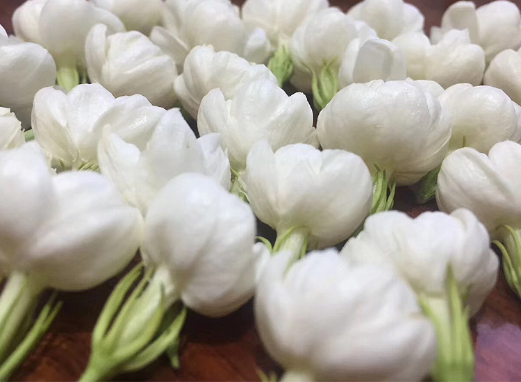 茉莉花茶不贵吧,茉莉花茶值得收藏吗