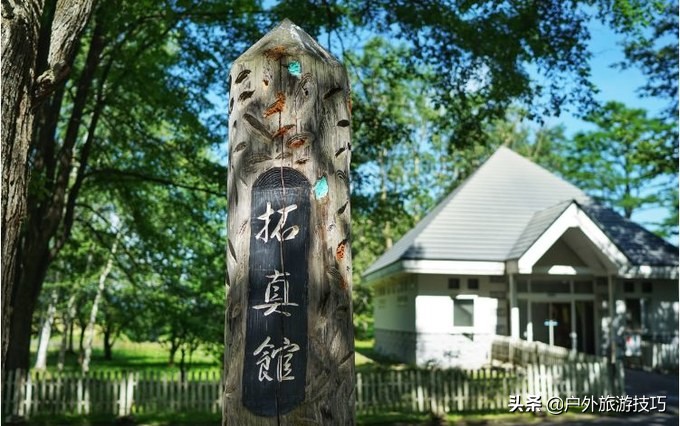 富良野一日游经典路线,日本北海道富良花海