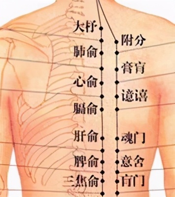 按摩眉毛的穴位有什么功效,中医养生按摩穴位视频