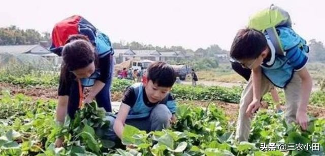 农村创业好项目投资少见效快,农村无需投资的创业项目