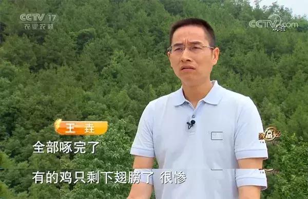 夫妻两人没做过生意适合干什么,无经验夫妻二人搞养殖