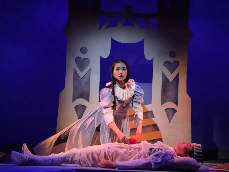 中国儿童艺术剧院官方预约平台,中国儿童艺术剧院节目