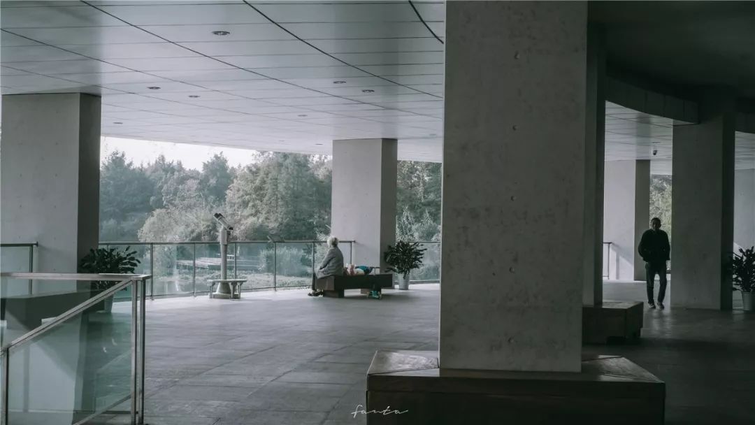 西溪天堂令人沉醉的江南梦境,城市的夜晚江南水乡美如画