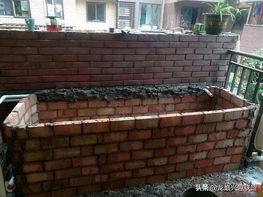 鱼友自制龙鱼缸,自制锦鲤鱼食配方及全过程