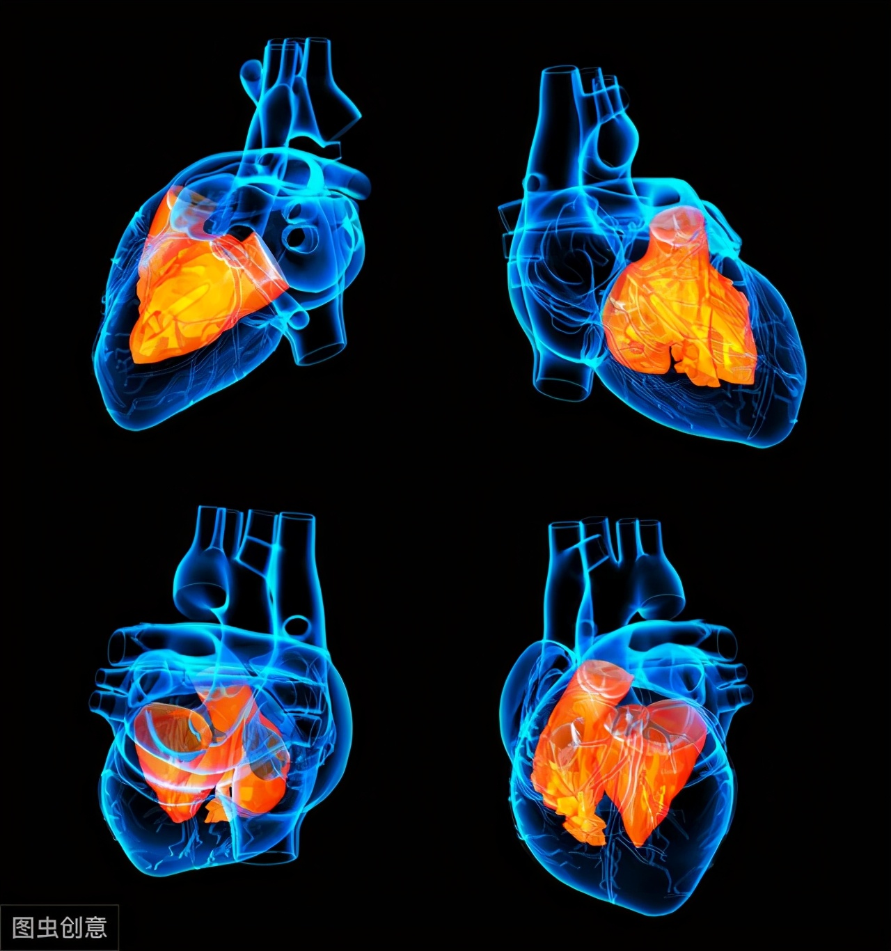 心脏像发动机,心脏就像发动机