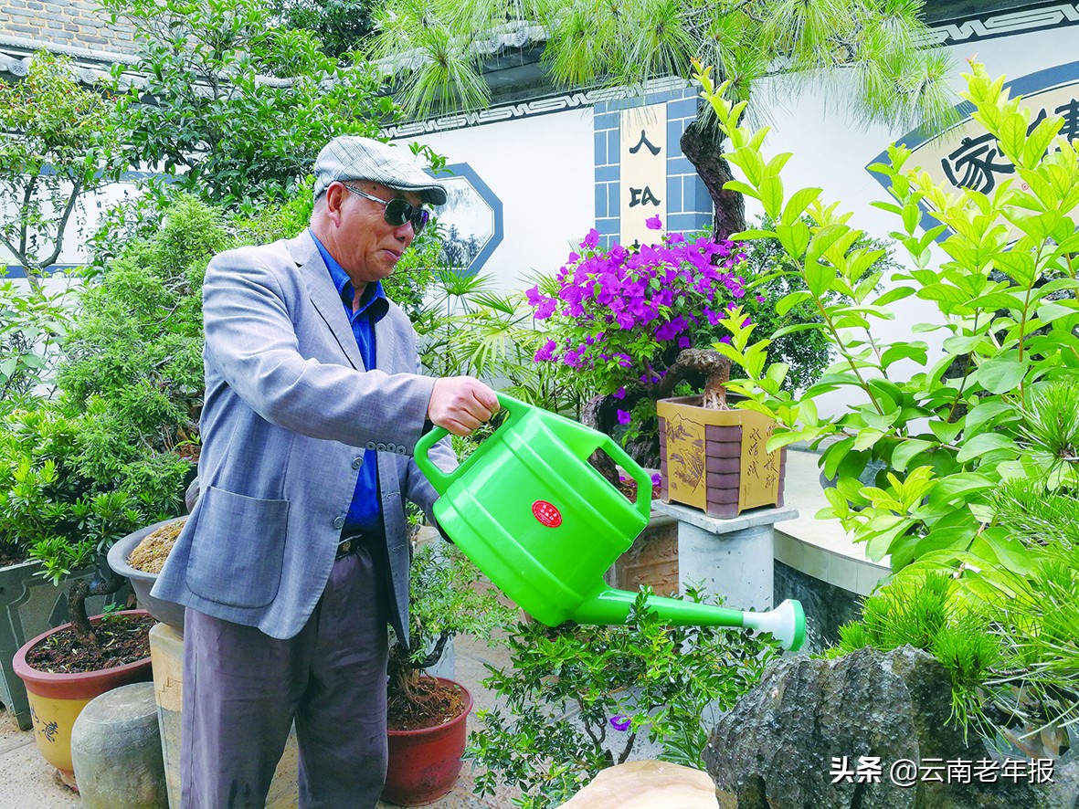 老中医退休的真实生活,退休老中医40年宝贵经验