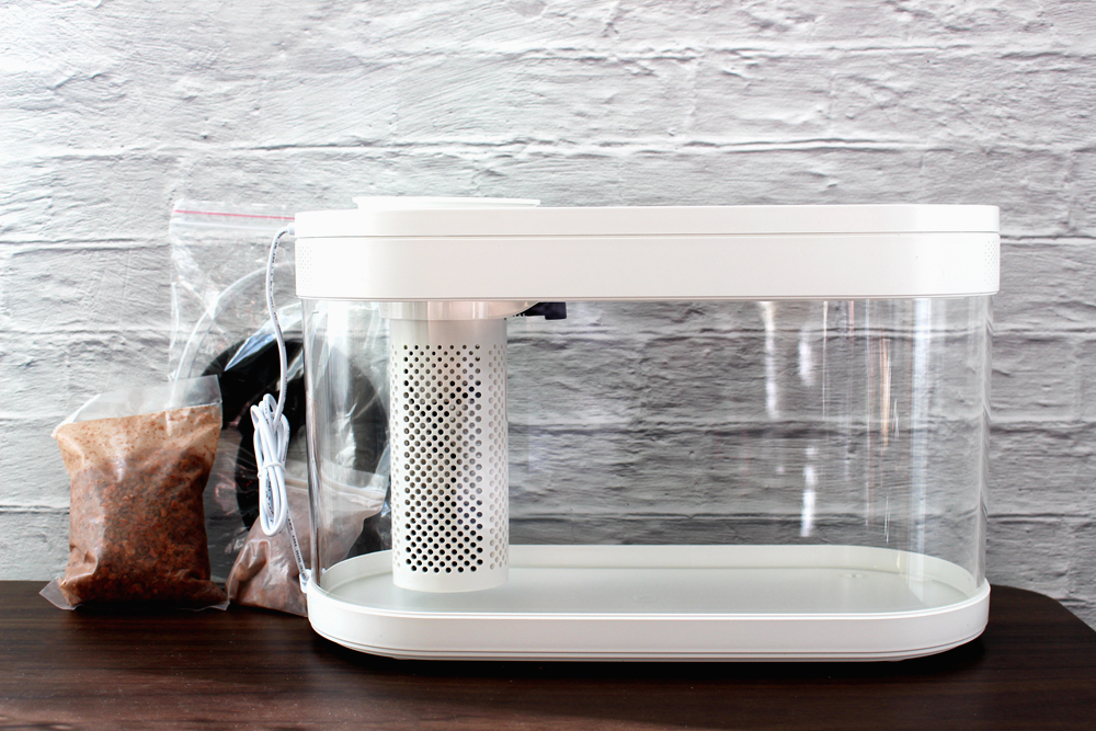 养鱼日记森森鱼缸,水族箱造景养鱼日记