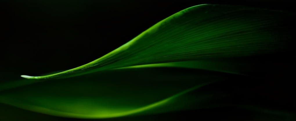 深圳光明文体中心建设,深圳光明文体中心