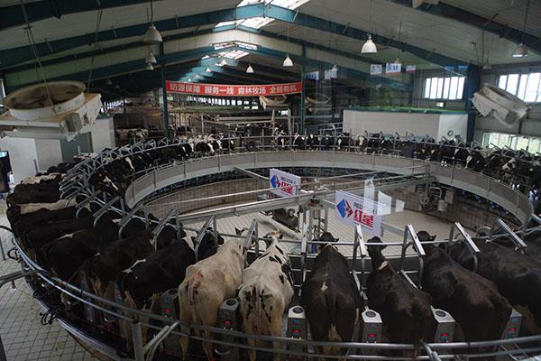 实现弯道超车的机会,实现弯道超车到达巅峰