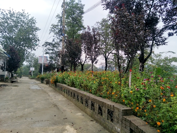 美丽乡村阿庄图片,铜川市美丽乡村名单