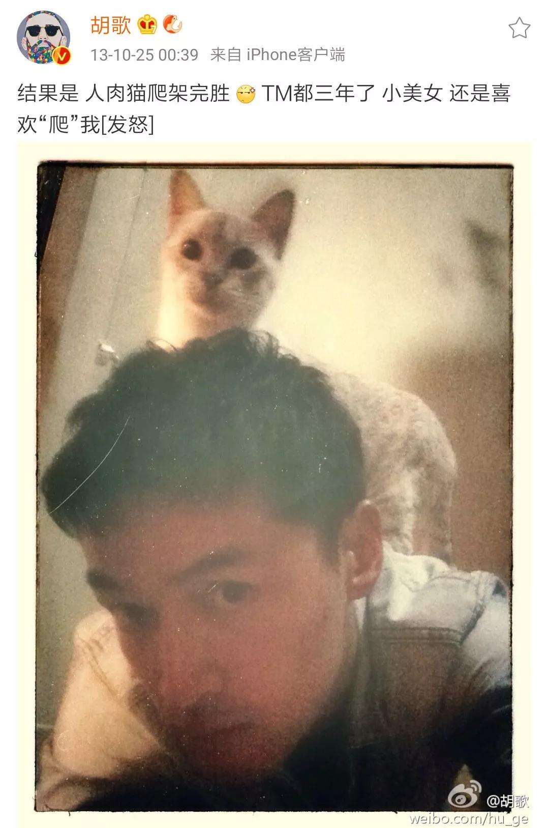 千万不要和对象一起养猫,为什么不能和养猫的男生谈恋爱