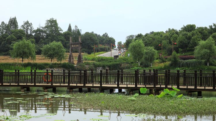 牧童遥指杏花村真正意思,牧童遥指杏花村的遥意思