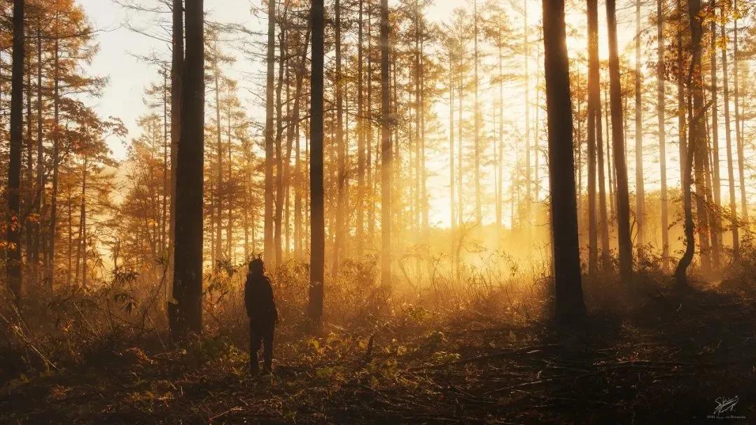 周末人像摄影作品欣赏,周末摄影作品欣赏大全