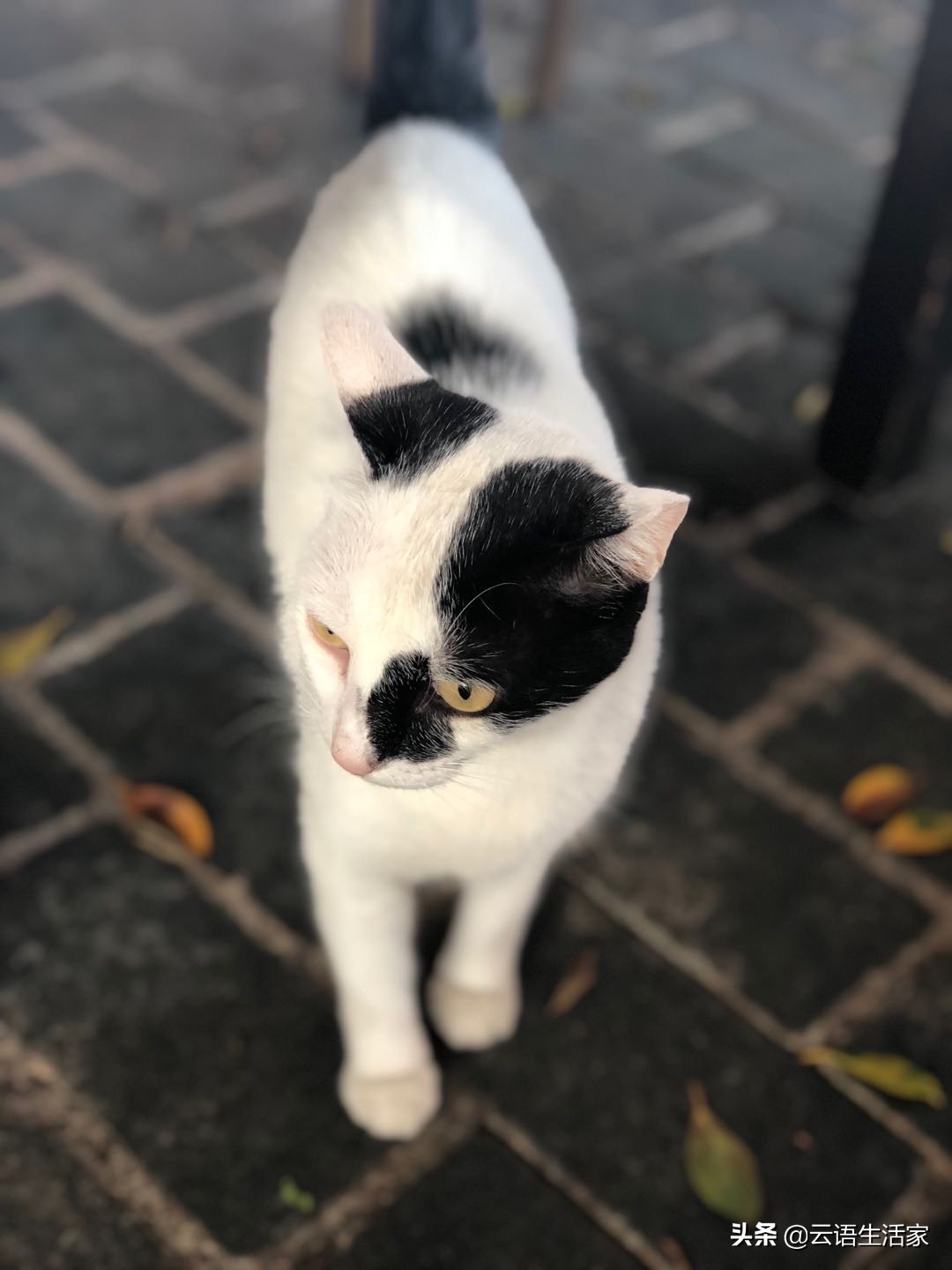 远走土耳其，我在星月之国上天入海（三）