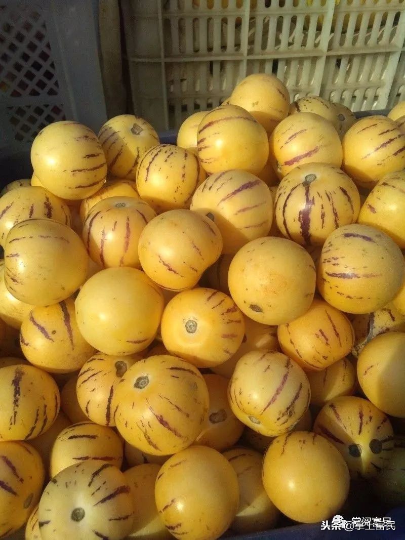 家乡是我们成长的沃土,家乡是生养我们的地方