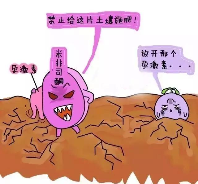 药流和人流的区别？一组漫画让你明白