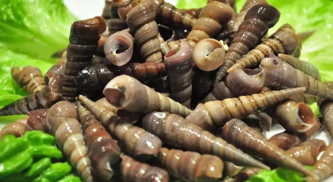 防城港怎么吃海鲜便宜不被坑,防城港干货海鲜有哪些