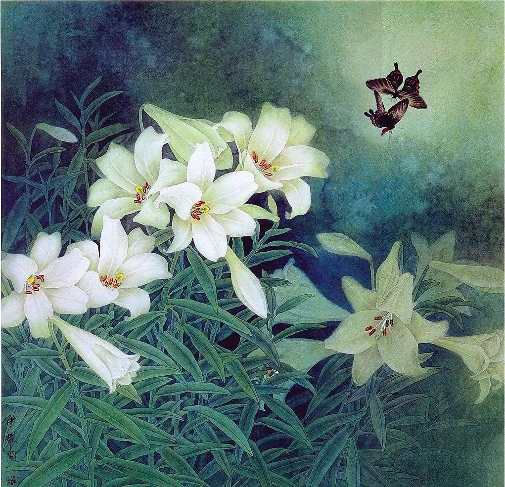 秋日赏花，百合必须要拥有姓名