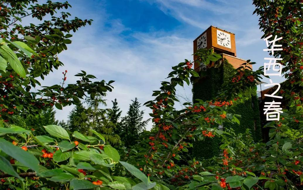 成都崛起有多猛,成都正在飞速发展