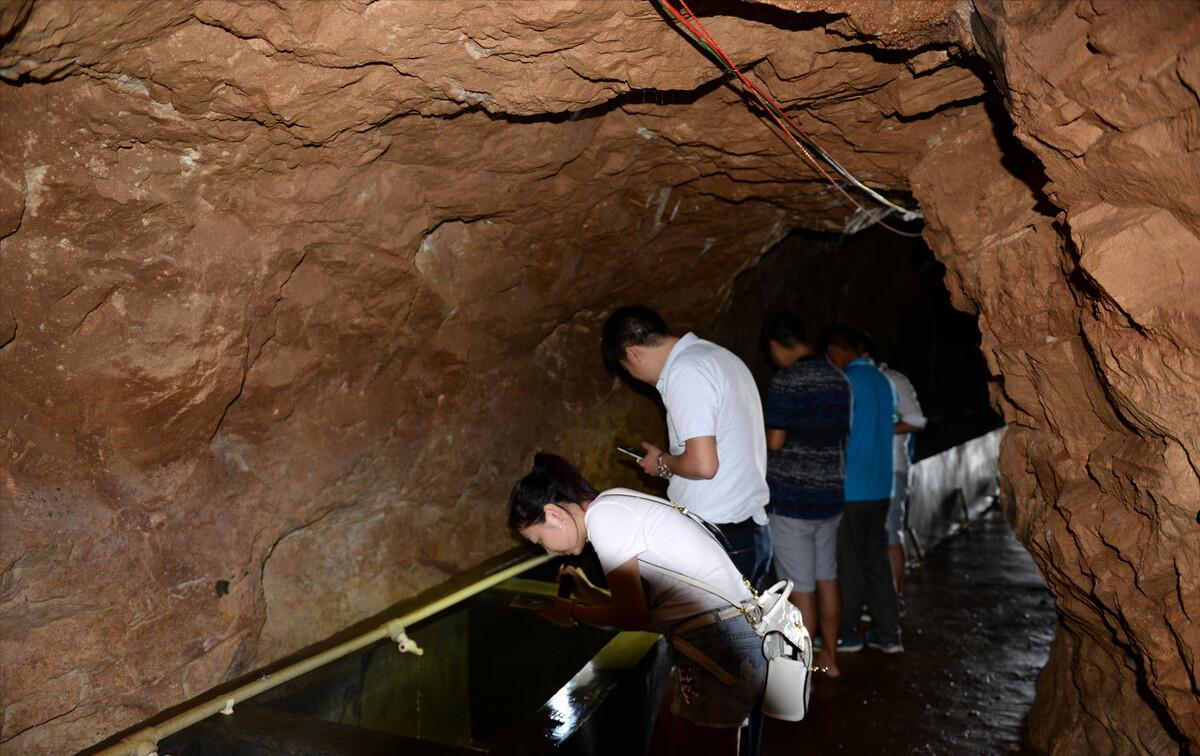 吉林大叔回乡养黄牛,养殖黄牛走上致富路