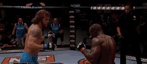 格斗明星的标准动作,格斗如何练抗打能力视频