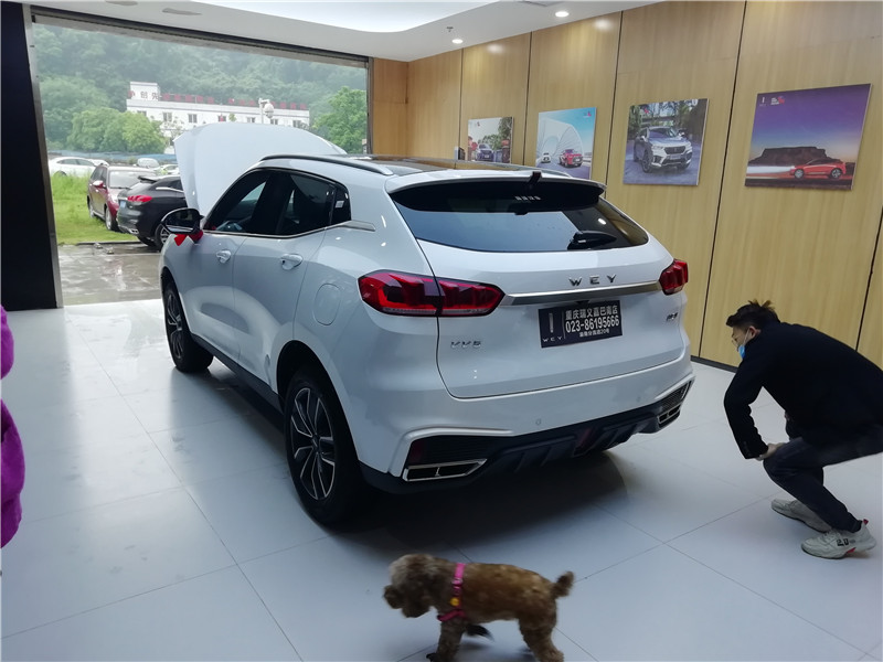 weyvv5裸车感受,又一台年轻人之车weyvv5