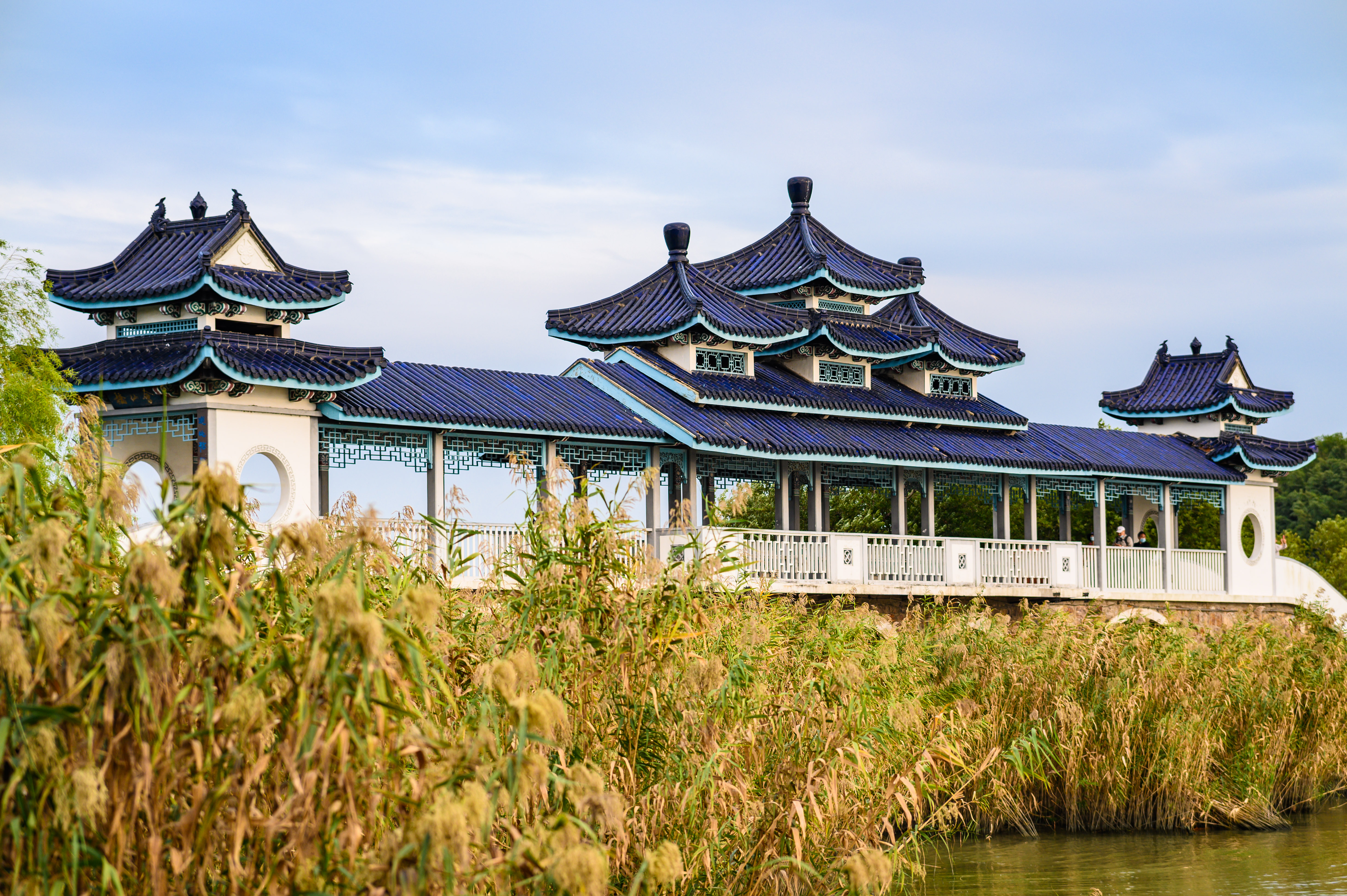 鼋头渚夏季游玩攻略,鼋头渚游玩攻略夏季