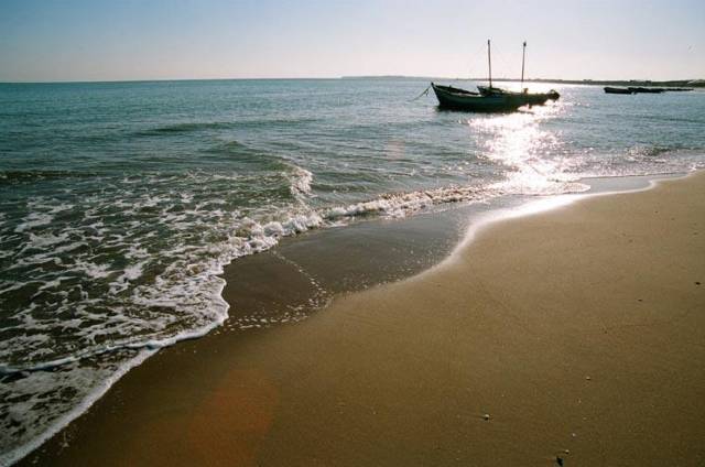 高校网红食堂盘点,河北一高校网红食堂