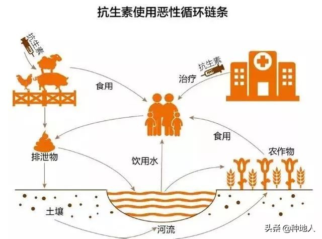 畜禽粪便有机肥发展之路,畜禽粪污资源化生产有机肥