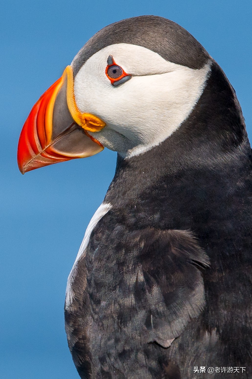世界有名的海岛旅游胜地,世界10大最奇特海岛