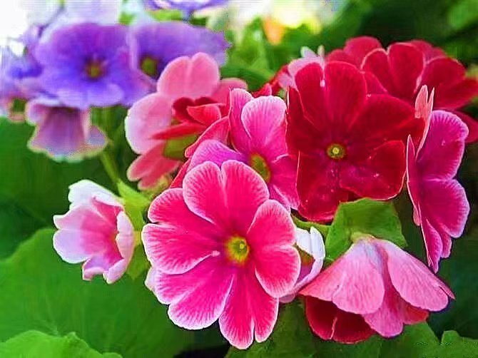 尊重别人就是尊重自己漫画,尊重别人就是尊重自己是什么意思