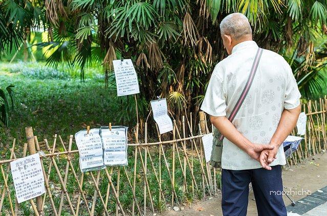成都网红旅行攻略,四川成都新津最新网红打卡景点