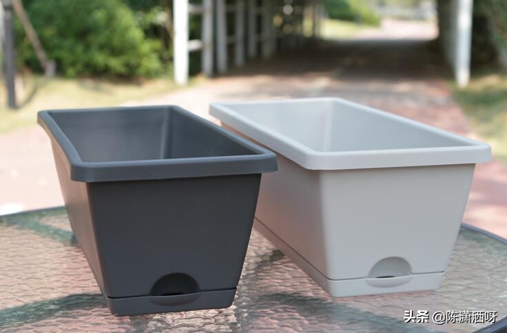 常见花卉花盆图片大全,各种花盆的优缺点图片介绍