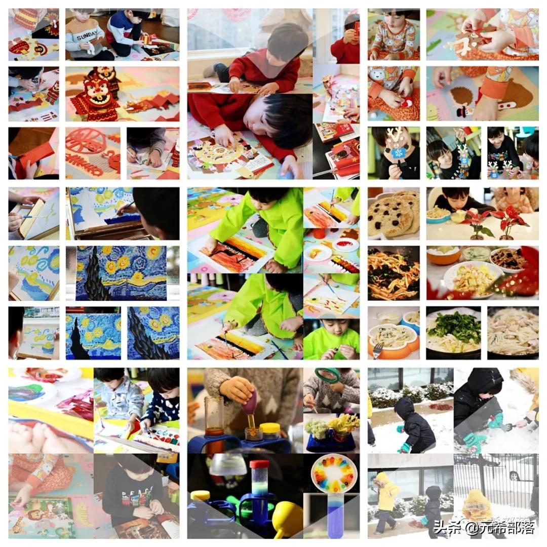 荷兰小镇郁金香盛开,荷兰小镇郁金香花海