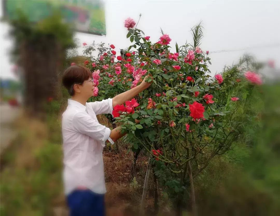 学历最高的农民,中国学历最高的农民