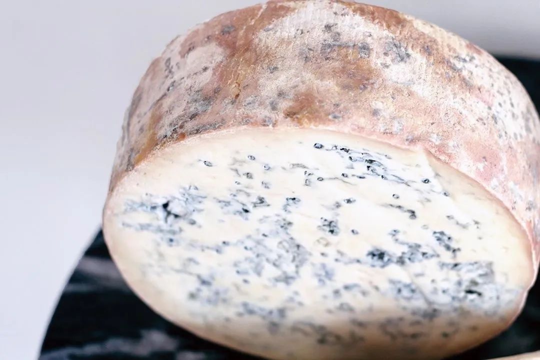 比牛奶好的食物,比牛奶更有营养的奶