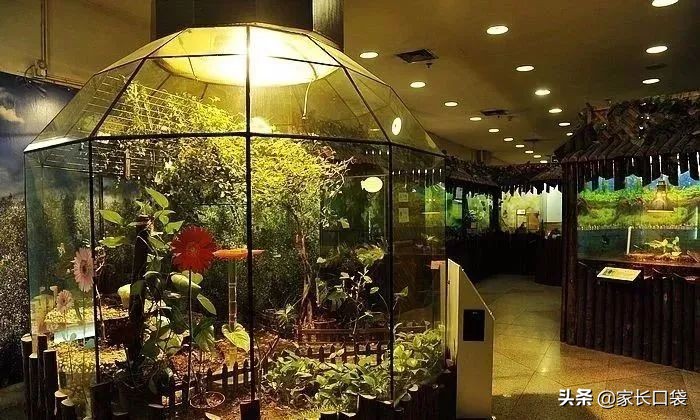 上海各大博物馆攻略,上海各大博物馆介绍