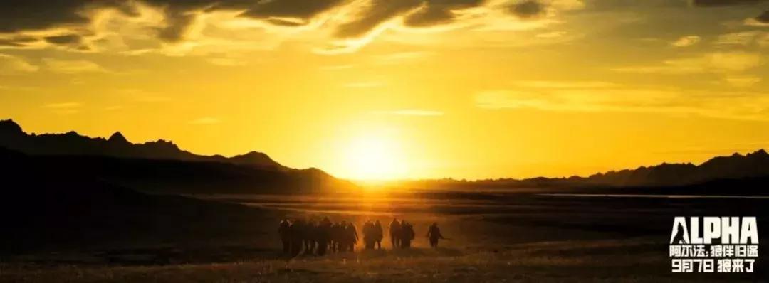阿尔法｜如果文明是卑躬屈膝，我会让你看到野蛮的骄傲
