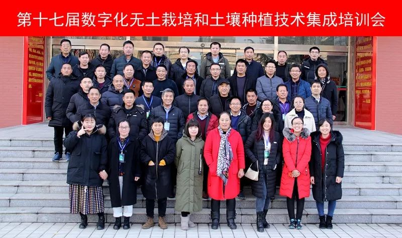 无土栽培和土壤种植技术研究所,农业无土栽培技术培训