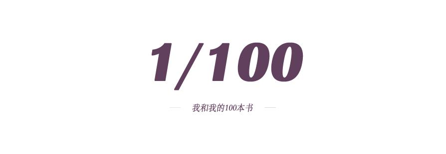 100种精神分裂小说,100种分裂人格小说