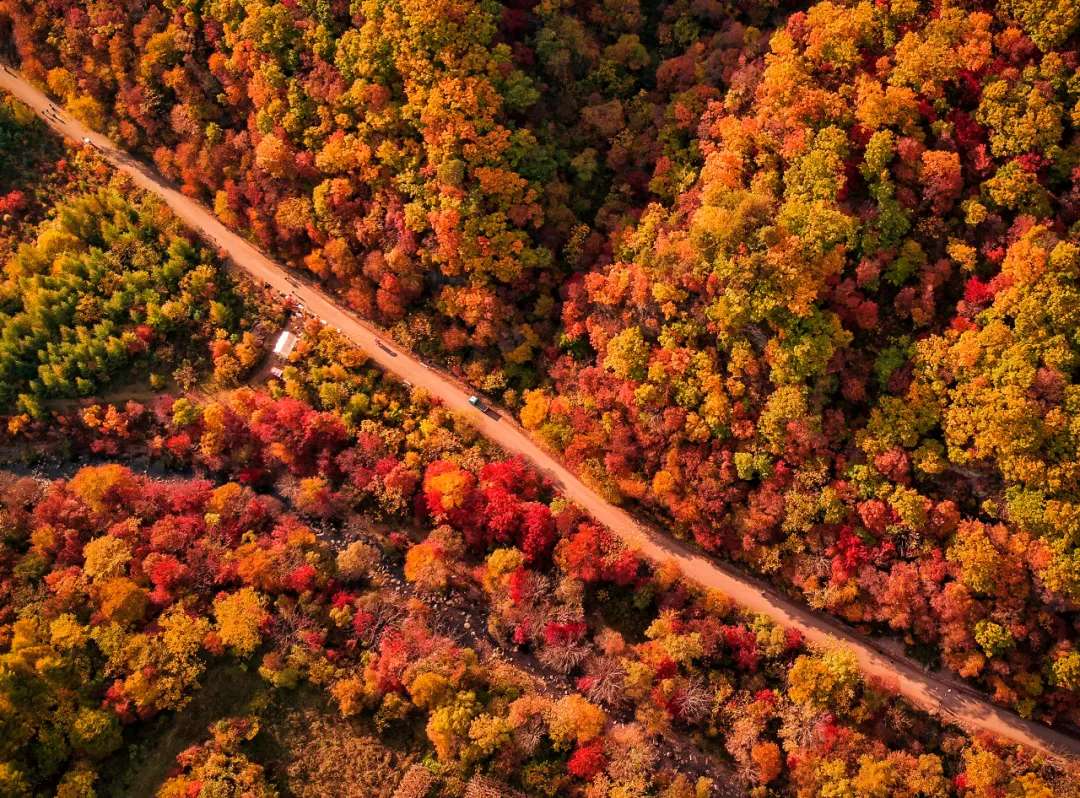 爱上大连的N个理由,爱上内蒙古的n个理由