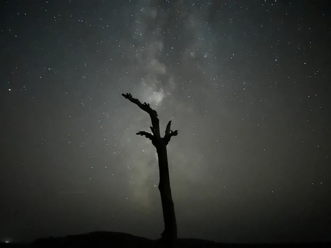 哪款手机拍照能比得上苹果13,iphone手机谁拍照最好用