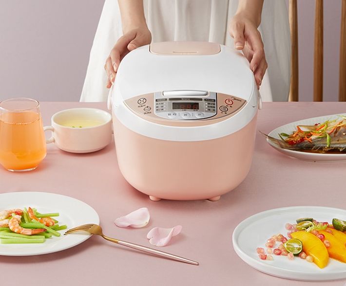 迷你电饭煲贵的和便宜有什么区别,普通电饭煲与多功能电饭煲的区别