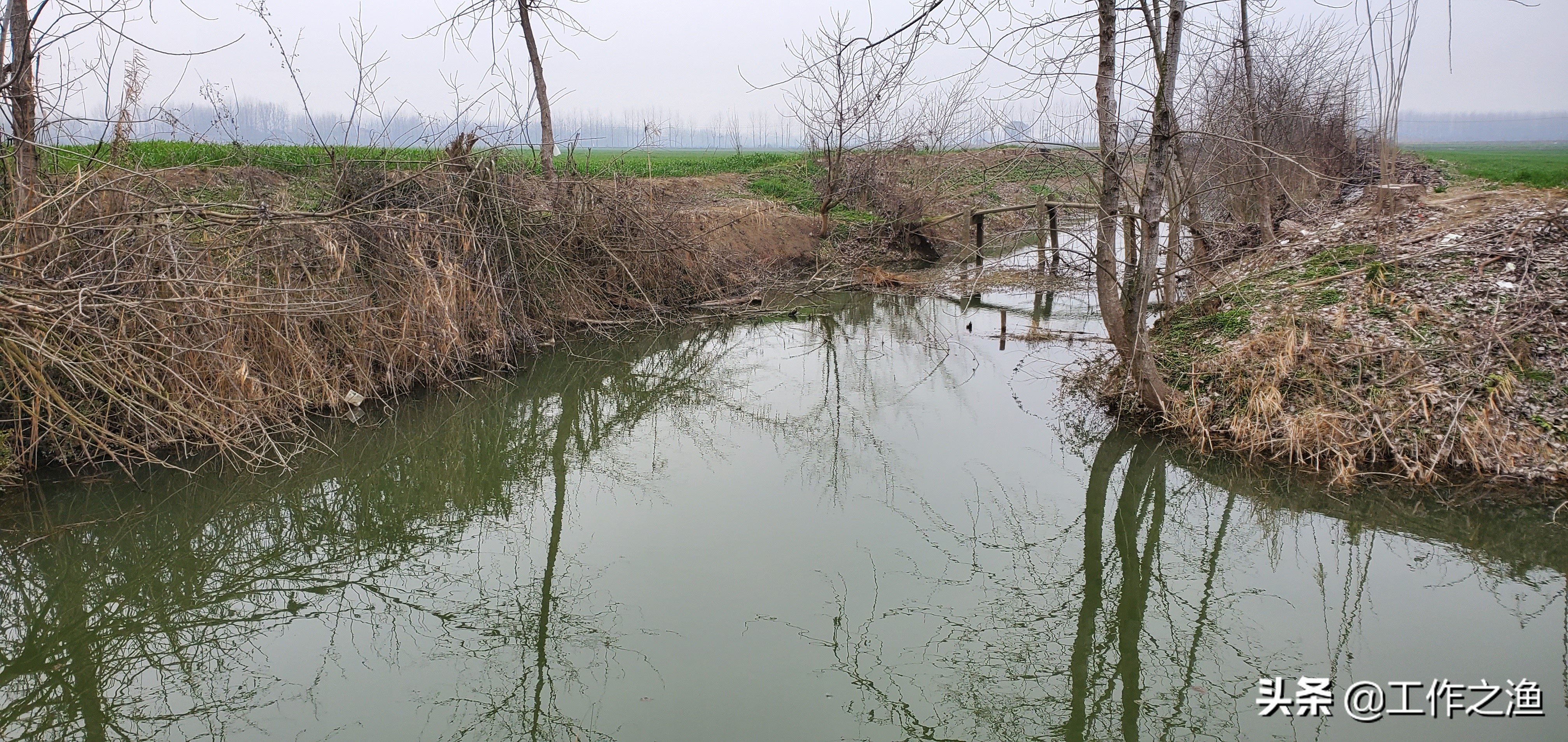 野钓麻将鲫的一些个人小建议,麻将鲫多的地方怎么钓大鲫鱼