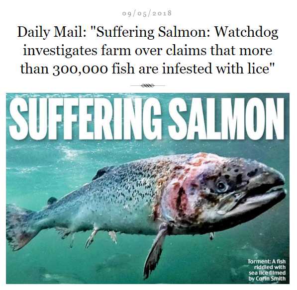 日本三文鱼寄生虫感染,三文鱼寄生虫能杀死吗