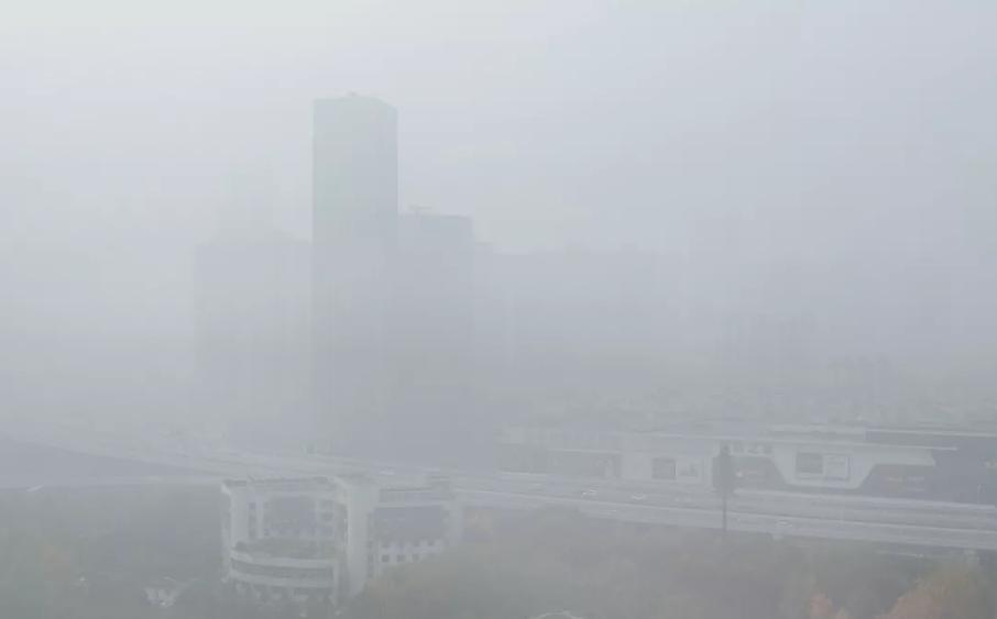 新力金沙湾,新力金沙湾视频