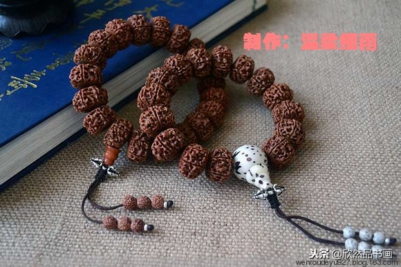 木鱼菩提子的种类全图解,菩提子手串种类图