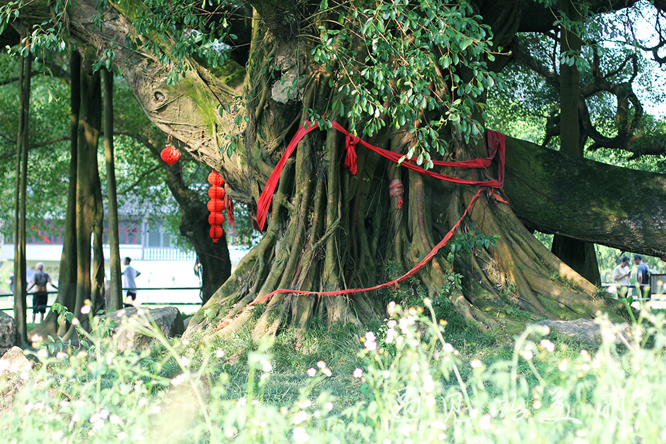 桂林阳朔3天两夜自驾游攻略,桂林阳朔3天2夜自驾游攻略