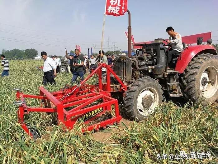 红五月邀请函,红色主题邀请函