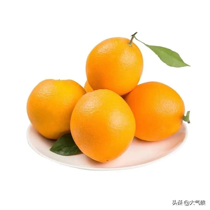 脐橙怎么看真假,怎么分辨真假脐橙